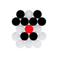 Carrom Coin with Striker (9 White & 9 Black & 1 Striker) Multicolor. 