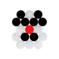 Carrom Coin with Striker (9 White & 9 Black & 1 Striker) Multicolor.