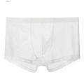 Quasar Men Briefs Lint Free Mesh Men Boxers Transparent Underwear.