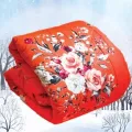 5 pieces cxcclusive combo set comforter pillow cover bedsheet 203.