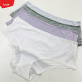 Women's Hipster Soft Cotton Comfortable Brief Panties For Ladies From Levin. 