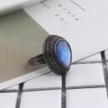 【Shop the Latest Trends】 Game Dark Souls Rings for Men Vintage Havel's Demon's Scar Chloranthy Serpent Leo Darkmoon Ring Halloween Jewelry Gift. 