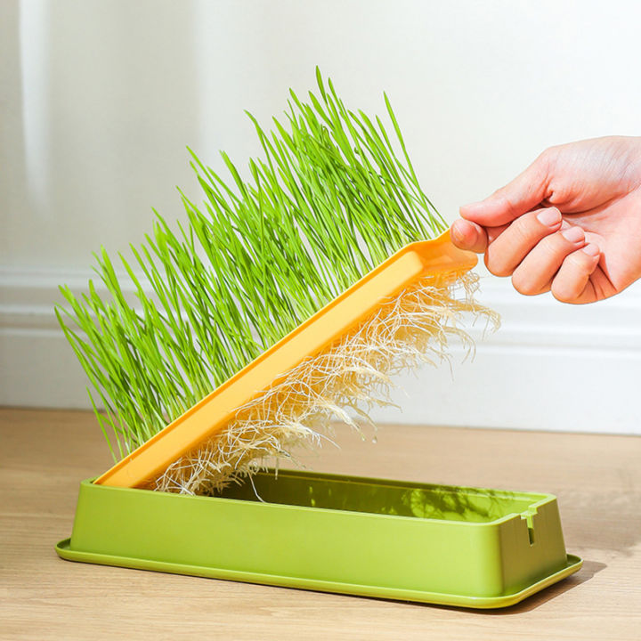 Cat%20Grass%20Growing%20Kit%20Seed%20Sprout%20Tray%20Nursery%20Tray%20Layered%20Cat%20Plant%20Soilless%20Convenient%20Cat%20Grass%20Kit%20Pet%20Supplies%20-%20Image%203