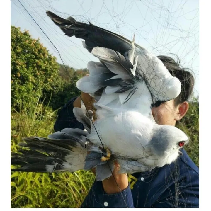 Useful%20Black%20Mesh%20Anti%20Bird%20Mist%20Nets%20Vegetable%20Garden%20Orchard%20And%20Garden%20Protect%20Nylon%20Netting%20Bird%20Hunting%20Net%20Garden%20Tools%EF%BC%883MX15M%EF%BC%89%20-%20Image%205