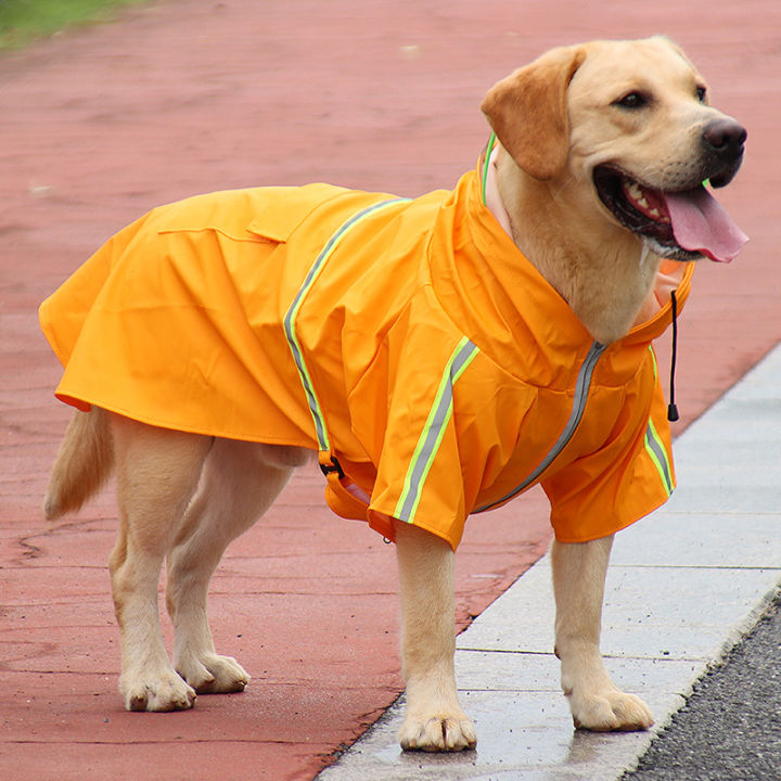 Labrador raincoat best sale