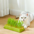 Cat Grass Growing Kit Seed Sprout Tray Nursery Tray Layered Cat Plant Soilless Convenient Cat Grass Kit Pet Supplies. 