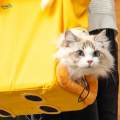 Cat Carrier Bag Canvas Pet Shoulder Bag for Puppy Small Dogs and Cats Hiking. 