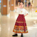 Ma Mian Skirt Girl's Sports Games Hanfu, Traditional Culture, Chinese Recitation, Chorus Performance Clothing Set, Ancient Style Tang Costume.