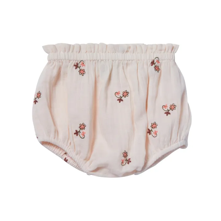 Multicolour%20baby%20panty%20(12%20pcs%20combo)%20&%20(6%20pcs%20combo)%20unisex%20-%20Image%202