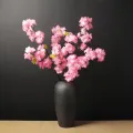 50 pcs Cherry Blossom Tree seed Garden plant Seeds. 