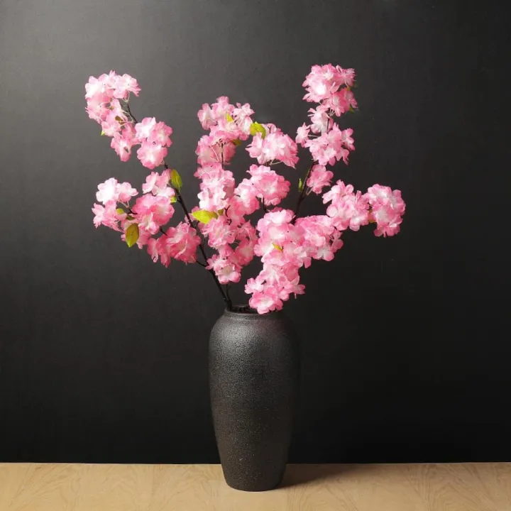 50 pcs Cherry Blossom Tree seed Garden plant Seeds