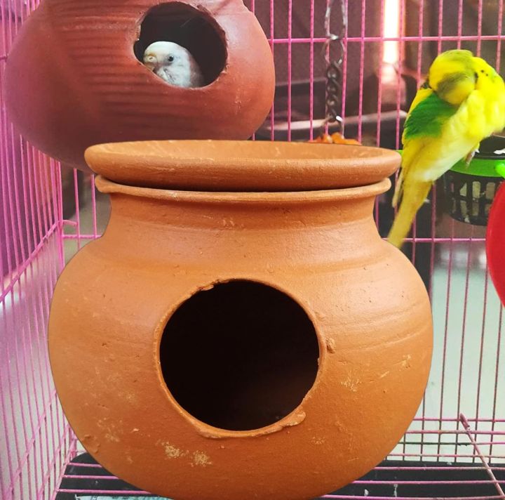Pot mud House with Lid for Egg Laying and Breeding for Budgies Love Birds with Flat Standing Bottom (15cm, Red Brown) - Indoor, 1 Piece