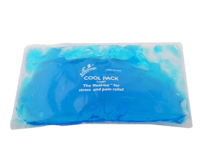 Flamingo Cool Pack, Regular (Blue)