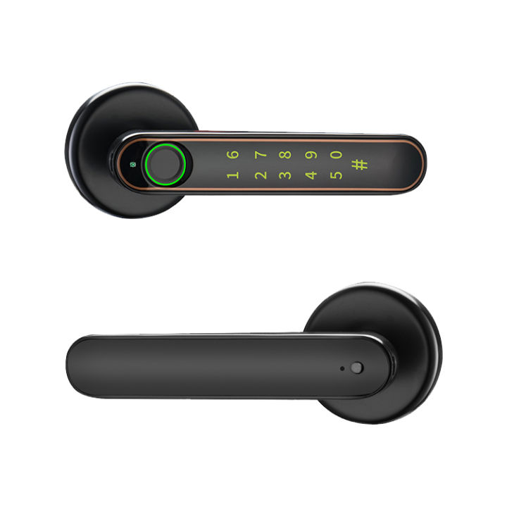 Tuya Smart Finger Print Deadbolt Door Handle Lock D8 Best for Home and