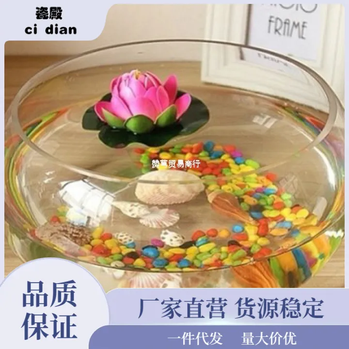 Fish%20Bottle%20Transparent%20round%20Cylinder%20round%20Cylinder%20Ecological%20Creative%20Glass%20Fish%20Tank%20Large%20Turtle%20Tank%20Hydroponic%20Cylinder%20Vase%20Amazon%20-%20Image%203