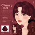 Kota Color Cream Hair Color (CHERRY RED).