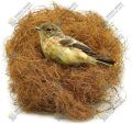 Comfortable Nest Building Materials for Birds (Sterilized & Washed) Pakhir Basha For 1 Pair Bird. 