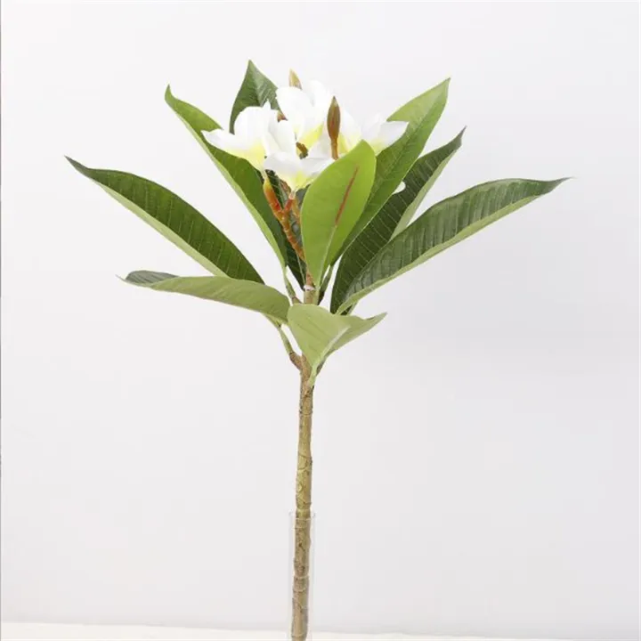 One%20Faux%20Single%20Stem%20Frangipani%2023%20Length%20Simulation%20Plumeria%20Real%20Touch%20Green%20Leaf%20for%20Wedding%20Centerpieces%203%20Colors%20-%20Image%204