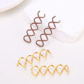 2pcs Fashion Beauteous Spiral Spin Screw Pin Hair Clip Twist Barrette. 