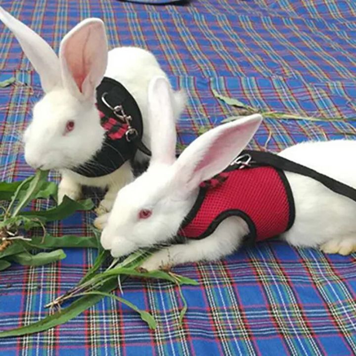 Cute%20Rabbit%20Harness%20Leash%20Set%20Bunny%20Vest%20Harnesses%20Guinea%20Pig%20Leashes%20For%20Outdoor%20Walking%20Lead%20Rope%20For%20Small%20Pets%20Supplies%20-%20Image%205