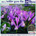 Iris / আইরিশ ফুলের বীজ - 20/40 pcs Iris lactea Flower Mixed Color Seed All Season.