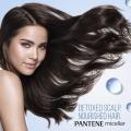 Pantene Scalp Shampoo 530ml Micellar Detox & Moisturize Waterlily Extract. 