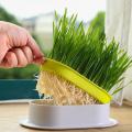 Cat Snack Cat Mint Planting Hydroponic Box Cat Grass Pot  Cat Grass Box Bowl. 