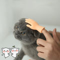 Teasing Cat Plastic Finger Gloves Human Hand Cat Interactive Toys Caress Cat Dog Toys Little Hand Pet Cat Supplies 1 Pcs.