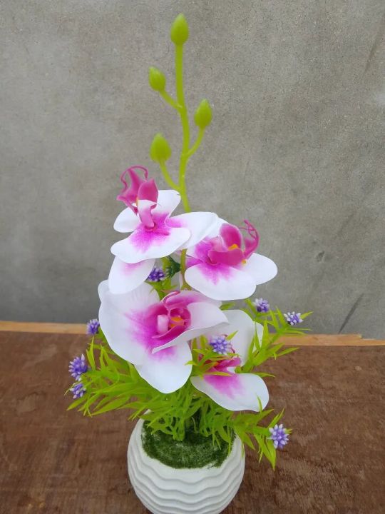 Orchid%20flower%20Artificial%20rubber%20tree%20plant%20for%20home%20decoration.%20flower,%20flowers,%20grass,%20hanging,%20wall,%20leaf,%20carpet,%20pot,%20cutter,%20light%20stand,%20indoor%20-%20Image%206