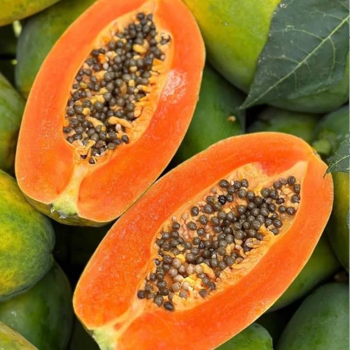 Organic%20Hybrid%20Papaya%20Seeds%20-%2020+%20Pcs%20Seeds%20-%20Image%203