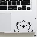 Baby Polar Bear Watching Laptop Sticker Waterproof Removable Laptop Skin For Any Laptop - LS164 - Hype Interior. 