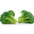 20 Pcs Global Broccoli SeedS. 