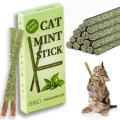 6pcs Natural Matatabi Cat Stick Mint Caught Bite Excited Rods Silvervine For Cat Teeth Cleaning Treating Pet Supply Cat Toys.