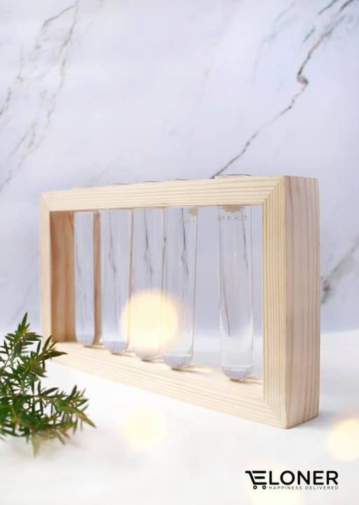 Glass%20Test%20Tube%20Plant%20Propagation%20Station%20Glass%20Vase%20Rack%20with%20Wood%20Stand,%20and%205%20Test%20Tube%20-%20Image%204