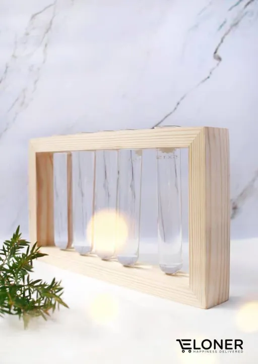Glass%20Test%20Tube%20Plant%20Propagation%20Station%20Glass%20Vase%20Rack%20with%20Wood%20Stand,%20and%205%20Test%20Tube%20-%20Image%204
