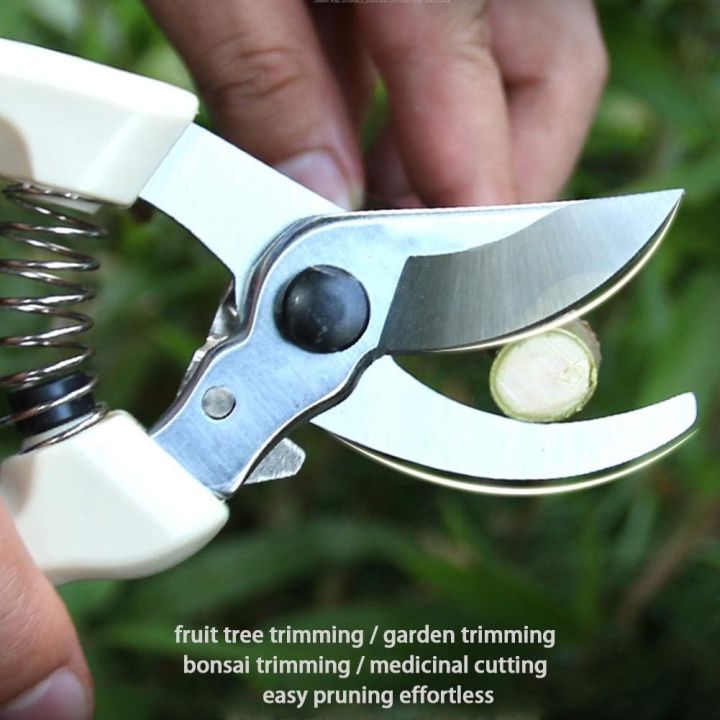 Pruner%20Made%20in%20china%20-%20Image%207