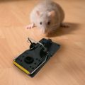 Reusable Rat Catching Mice Mouse Traps Mousetrap Bait Snap Spring Rodent Catcher Rat Trap Effective Pest Control（10 pcs）. 