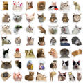 50Pcs Cute Cartoon Cat Stickers Funny Cat Memes Graffiti Stickers for Teens Adults Kids Waterproof Vinyl Stickers for Laptop Phone Guitar Water Bottles Luggage.