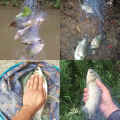 Fishing Net Trap Mesh Luminous Bead Netting Sea Fish Net Tackle Design Copper Shoal Cast Gill Feeder for fishing Trap.