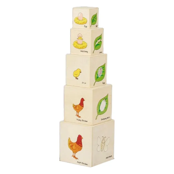 Life%20Cycle%20Toys%20Montessori%20Wooden%20Blocks%20Life%20Cycle%20Kit%20Toy%20Stacking%20Blocks%20Kids%20Figure%20Match%20Set%20Toy%20Stacking%20Block%20Sets%20-%20Image%203