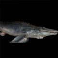Dinosaur Realistic Figures Lifelike Mosasaurus Dinosaur Model Toy Figures For Collector Decoration Party Favor Kid Toy Gift. 