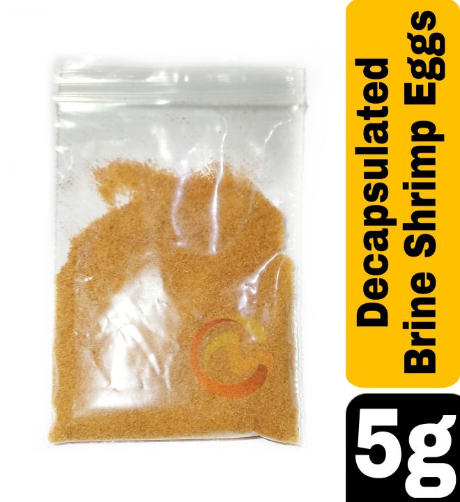 Brine%20shrimp%20eggs%20(%20artemia%20)%20(Decapsulated)Tropical%20live%20fish%20food%20best%20for%20baby%20fish%20food%205%20gm%20and%203%20gm%20pack%20-%20Image%203