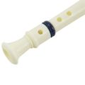 Music Instrument 6 Holes Soprano Flute Recorder White Blue.