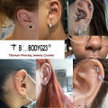 Nose Ring Piercings G23 Titanium Daith Earring 16G Hoop Septum CZ Clicker Hinged Segment Ear Cartilage 6/8/10/12mm. 
