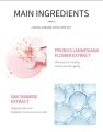 LAIKOU Japan Sakura Skin Care Mini 4 Pcs Set (Face Cleanser /Toner/ Lotion/ Essence Cream)-2gm/Each. 
