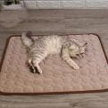 Pet Soft Summer Cooling Mats Blanket Summer Car Seat Ice Silk Mat Pet Cooling Non Stitches Blanket. 