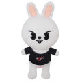 Skzoo Plush Toys Stray Kids 20cm Cartoon Stuffed Animal Plushies Doll Bbokari Leebit Wolf Chan Puppym Kids Adults Fans Gift Dislikelike. 