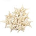10Pcs White Knobby Star Fish Natural Dried Starfish Sea Star Beach Craft Wedding Party Home Decor DIY Hanging Ornaments Photography Props. 