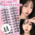 Large Capacity Pure Desire Mix Single Cluster Natural Cat Ear Eyelash Book Trilogy Guppy Cat Elf False Eyelashes. 