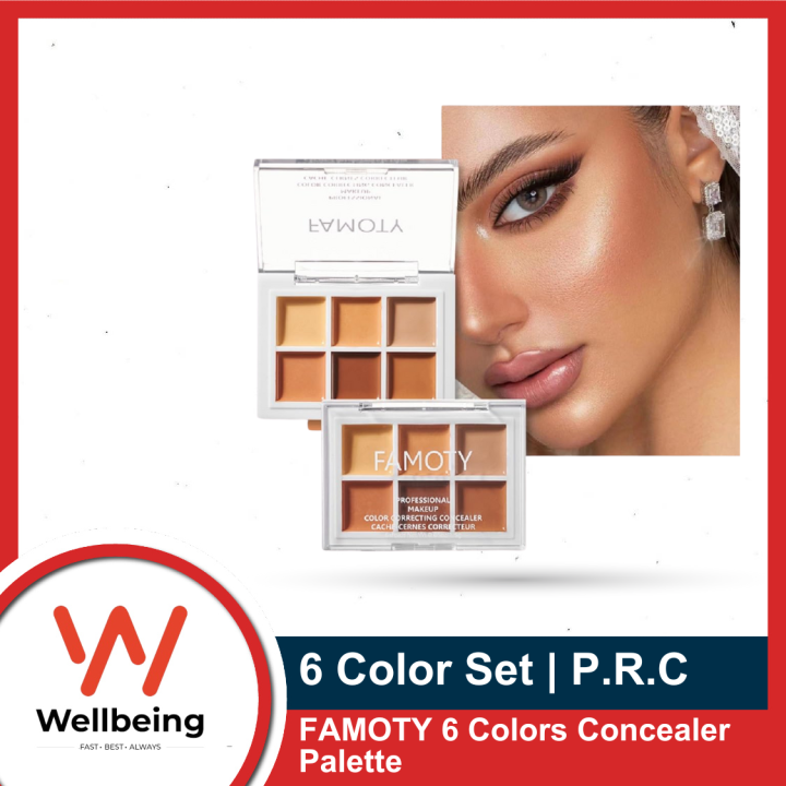 FAMOTY 6 Colors Concealer Palette Creamy Waterproof Long Lasting Concealer Stick for Face Eyes Lips
